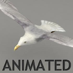 Lowpoly animated seagull
